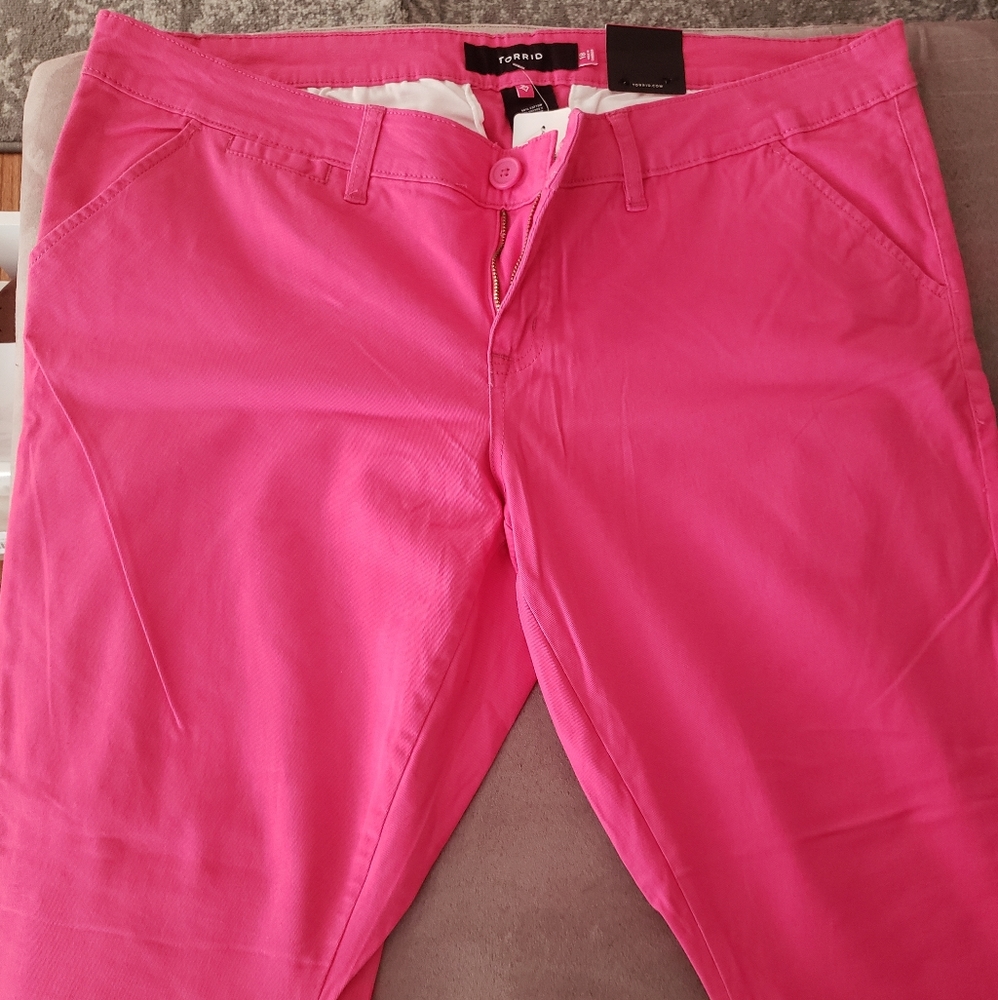 Torrid pants